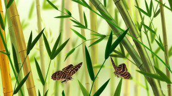 Bamboo Desktop Wallpaper