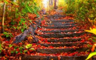 Autumn Wallpaper Most Beautiful Places In The World