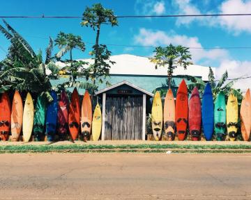 Hostel Surf Sky Hawaii Beach Palm