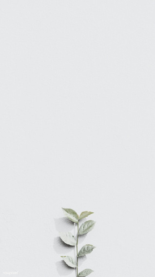 White Plant Branch On A Gray Brick Wall In Natural Light