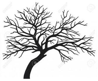 Black Tree Branch Silhouette Wallpaper