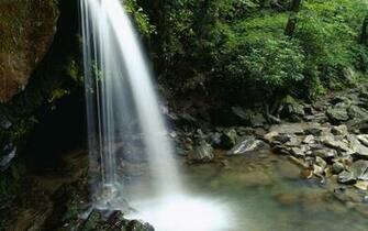 Grotto Falls Great Smoky Mountains National Park Wallpaper