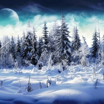 iPad Wallpaper Christmas Winter For