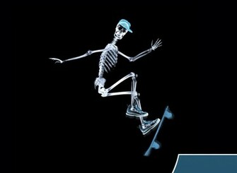 Skull Skate Skateboard Wallpaper