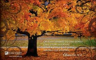 Thanksgiving Holiday Desktop Wallpaper Kb
