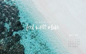 Wallpaper Discover New Designs Every Month Jo Judy