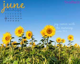 June Sunflowers Desktop Calendar Wallpaper