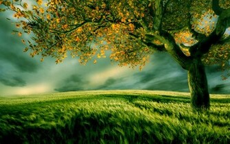 New Nature Wallpaper You Are Ing The Named