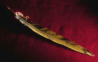 Beautiful Feathers Wallpaper And Pictures One HD