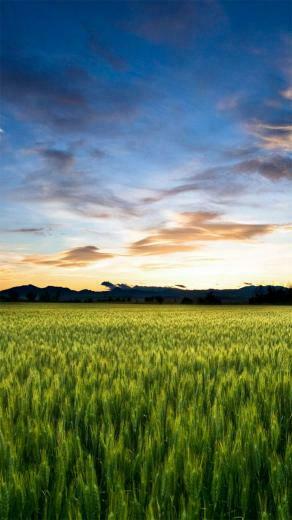 Wallpaper And Lock Screen Pictures From Xpe Sony Xperia Z