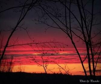 Sunset By Picardroe Caedes Desktop Wallpaper