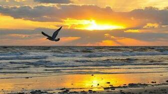 Wallpaper Beach Beaches Nature Collectpics