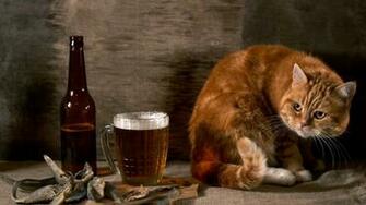 Funny Animal HD Wallpaper Of Animals