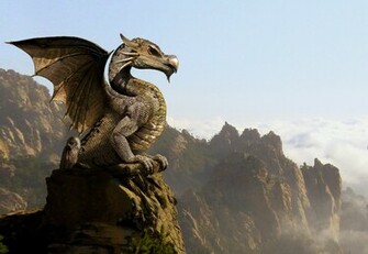 Little Dragon Wallpaper From Dragons