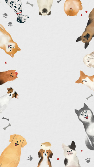 Cute Wallpaper Beautiful HD iPhone Samsung Mobile Phone