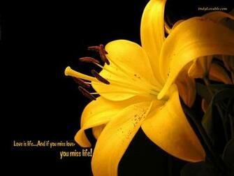 Missing You Wallpaper I U
