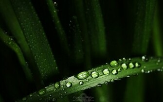 Cool Background Computer Background Wallpaper HD