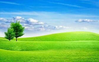 Trees In The Field Wallpaper Walltor