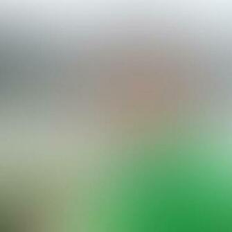 Easy Ways To Blur The Background In Your iPhone Photos