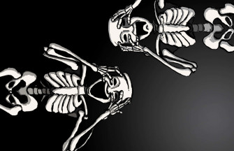 Black Skeleton Wallpaper