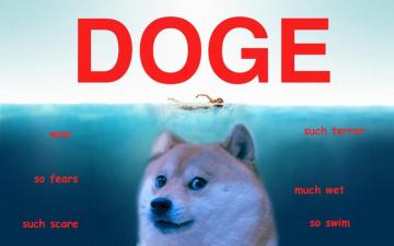 Doge Shiba Wallpaper Live Android