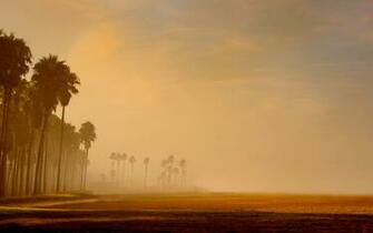 Los Angeles Beach For Your Desktop