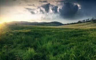 Spring Rain Lscape