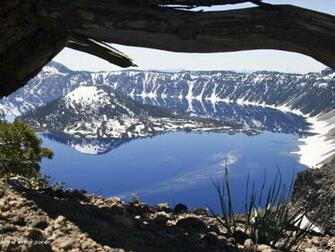 Crater Lake Tree Bow Beautiful Scenery Panorama HD Wallpaper Of Nature