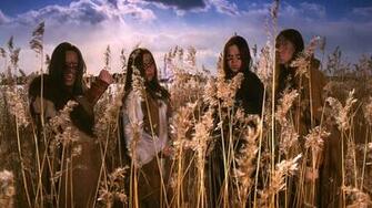 Wallpaper Ensiferum Field Daylight