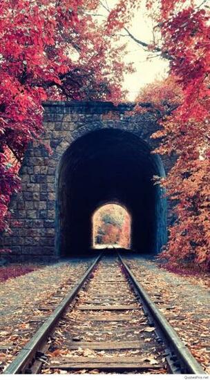 Top iPhone Nature Wallpaper Photos HD