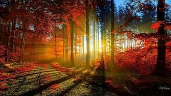 Madonna S Themes And Wallpaper Autumn Favorite