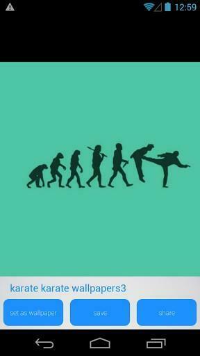 Karate HD Wallpaper For Android Appszoom