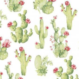 Norwall Cactus Wallpaper Ck36630 The Home Depot