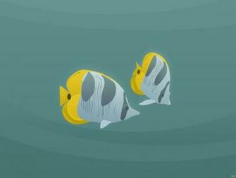 Saltwater Fish HD Wallpaper Aquarium Fishes