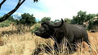Cabelas Wallpaper Big Game Hunter
