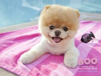 Kawaii Wallpaper The Cutest Ever