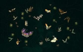 Thefoxisblack Desktop Wallpaper Andrea Kalfas Jpg