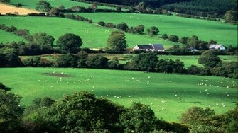 Ireland Wallpaper Desktop Fields