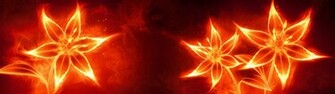 Fire Flower Wallpaper Title