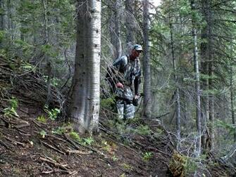 Mossy Oak Treestand Camouflage Photos Archery Elk Hunting The