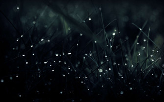 Best HD Wallpaper For Desktop