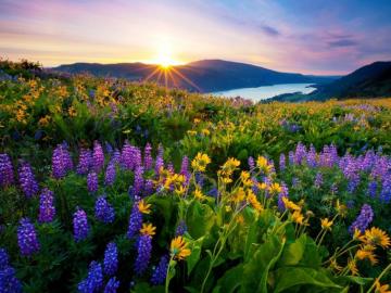 Morning In Spring One HD Wallpaper Pictures