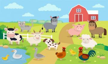 Farmyard Animals Cartoon Wallpaper Mural Marmalade Art
