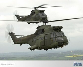 Raf Puma