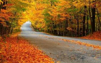 Pathway Wallpaper The Most Beautiful Scenery In World
