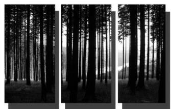 Black And White Pictures Anime Forest HD Wallpaper