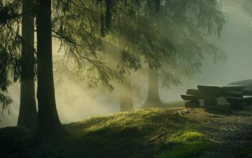 Fog HD Wallpaper Background Image