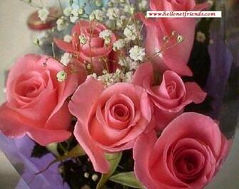 Most Favorite Tourist Spots In The World Beautiful Wallpaper Of Roses