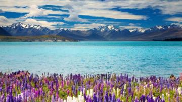 New Zealand Wallpaper
