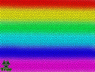 Bi Gay Lesbian Pride Wallpaper By Tripp X Foxx
